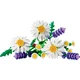 Gänseblümchen 11508 thumbnail-1