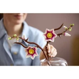 LEGO® Botanicals Magnolia Branches 11510 (11/40) LEGO® Botanicals Magnolia Branches 11510 (11/40)