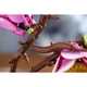 Magnoliatakken 11510 thumbnail-13