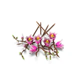 LEGO® Botanicals Magnolia Branches 11510 (20/40) LEGO® Botanicals Magnolia Branches 11510 (20/40)