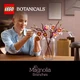 Magnoliatakken 11510 thumbnail-22