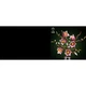 Magnoliatakken 11510 thumbnail-29