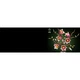 Magnoliatakken 11510 thumbnail-30