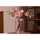 Magnoliatakken 11510 thumbnail-33