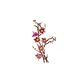 Magnoliatakken 11510 thumbnail-7