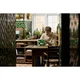Hanging Golden Pothos 11512 thumbnail-11