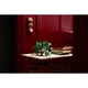 Hanging Golden Pothos 11512 thumbnail-14