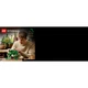 Hanging Golden Pothos 11512 thumbnail-18