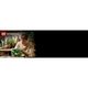 Hanging Golden Pothos 11512 thumbnail-19
