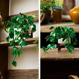 LEGO® Botanicals Hanging Golden Pothos 11512 (24/35)