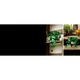 Hanging Golden Pothos 11512 thumbnail-24