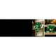 Hanging Golden Pothos 11512 thumbnail-25