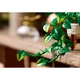 Hanging Golden Pothos 11512 thumbnail-26