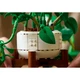 Hanging Golden Pothos 11512 thumbnail-27