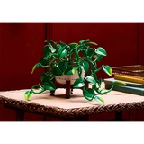 LEGO® Botanicals Hanging Golden Pothos 11512 (29/35)