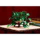 Hanging Golden Pothos 11512 thumbnail-28