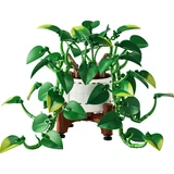 LEGO® Botanicals Hanging Golden Pothos 11512 (2/35)