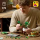 Hanging Golden Pothos 11512 thumbnail-29