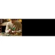 Hanging Golden Pothos 11512 thumbnail-31