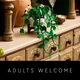 Hanging Golden Pothos 11512 thumbnail-32