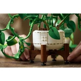 LEGO® Botanicals Hanging Golden Pothos 11512 (6/35)