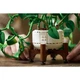 Hanging Golden Pothos 11512 thumbnail-5