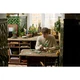 Hanging Golden Pothos 11512 thumbnail-6
