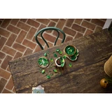 LEGO® Botanicals Hanging Golden Pothos 11512 (8/35)
