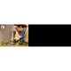 Dark Flower Arrangement 11513 thumbnail-33