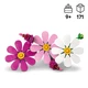 Kosmeen 11514 thumbnail-14