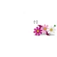 Kosmeen 11514 thumbnail-16