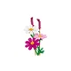 Kosmeen 11514 thumbnail-2