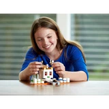 LEGO® Minecraft® Die Totenkopfarena 21145 (11/11) LEGO® Minecraft® Die Totenkopfarena 21145 (11/11)