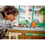 LEGO® Minecraft® The Pumpkin Farm 21248 (9/10)
