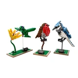LEGO® Ideas Wildvögel 21301 (2/2)