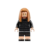 LEGO® Ideas Die NASA-Frauen 21312 (10/12)