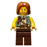 LEGO® Ideas Pop-Up-Buch 21315 (10/15)
