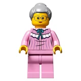 LEGO® Ideas Pop-Up-Buch 21315 (11/15)
