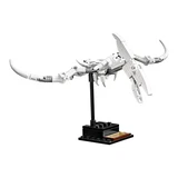 LEGO® Ideas Les fossiles de dinosaures 21320 (11/26)