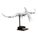 Dinosaurier-Fossilien 21320 thumbnail-10