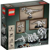 LEGO® Ideas Les fossiles de dinosaures 21320 (12/26)