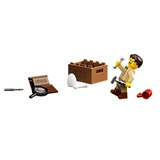 LEGO® Ideas Les fossiles de dinosaures 21320 (13/26)