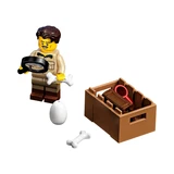 LEGO® Ideas Les fossiles de dinosaures 21320 (15/26)