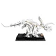 Dinosaurier-Fossilien 21320 thumbnail-19