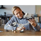 LEGO® Ideas Les fossiles de dinosaures 21320 (25/26)
