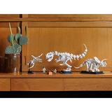 LEGO® Ideas Les fossiles de dinosaures 21320 (26/26)