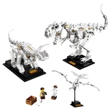 LEGO® Ideas Les fossiles de dinosaures 21320 (2/26)