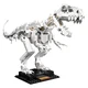 Dinosaurier-Fossilien 21320 thumbnail-3