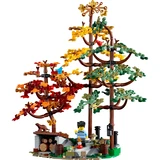 LEGO® Ideas A-Frame Cabin 21338 (8/17) LEGO® Ideas A-Frame Cabin 21338 (8/17)
