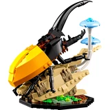 LEGO® Ideas The Insect Collection 21342 (5/10)